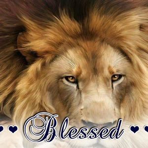 Meet your Posher, Albert